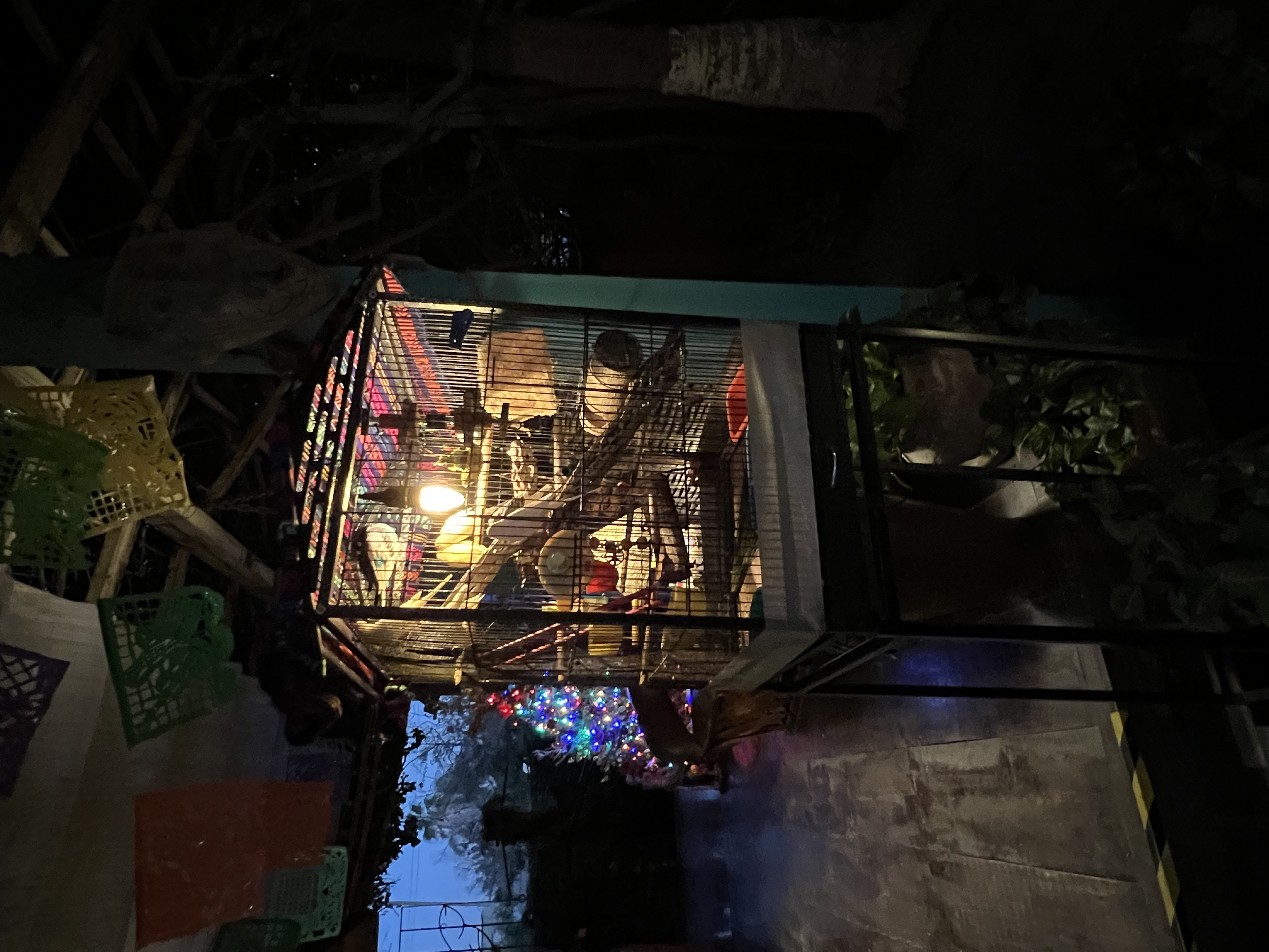 ./2024/13 - Cabo/IMG_4903.jpg